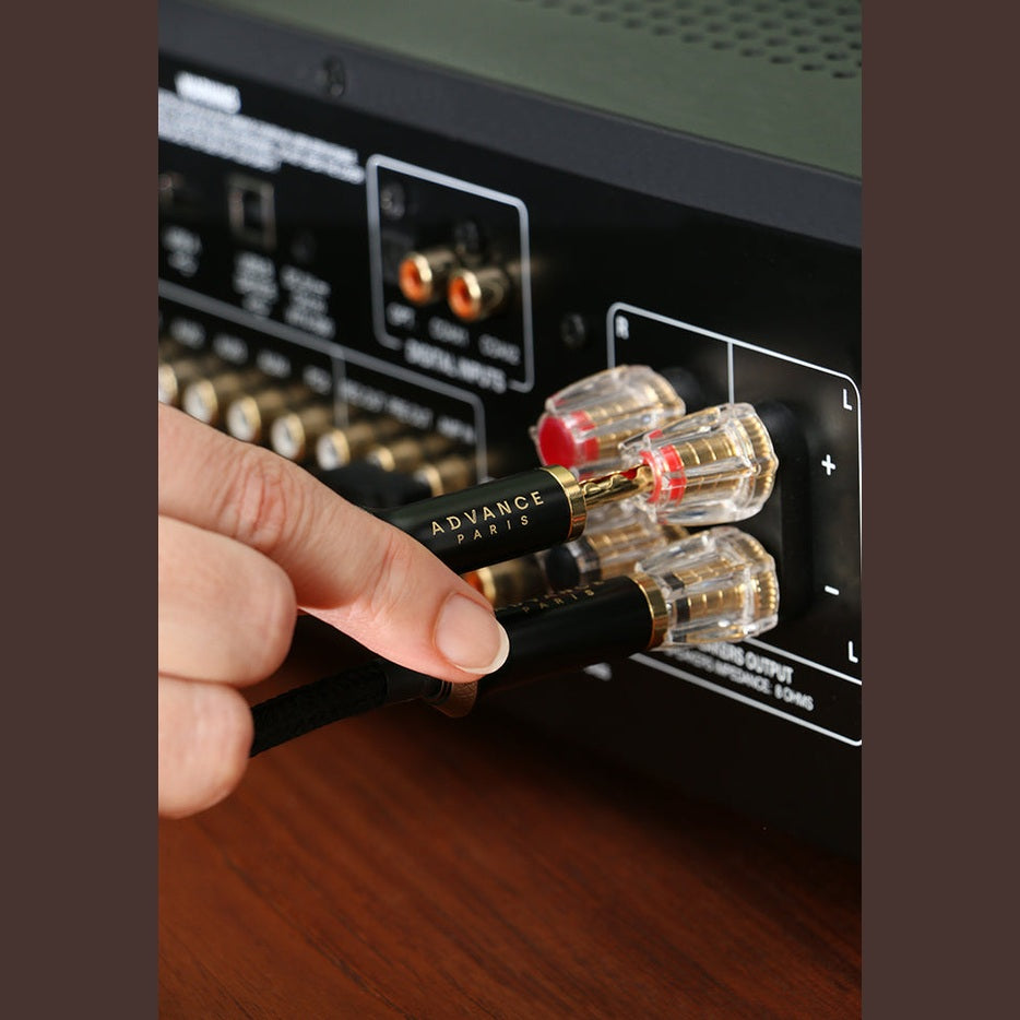 Advance Paris Link Speaker Cable