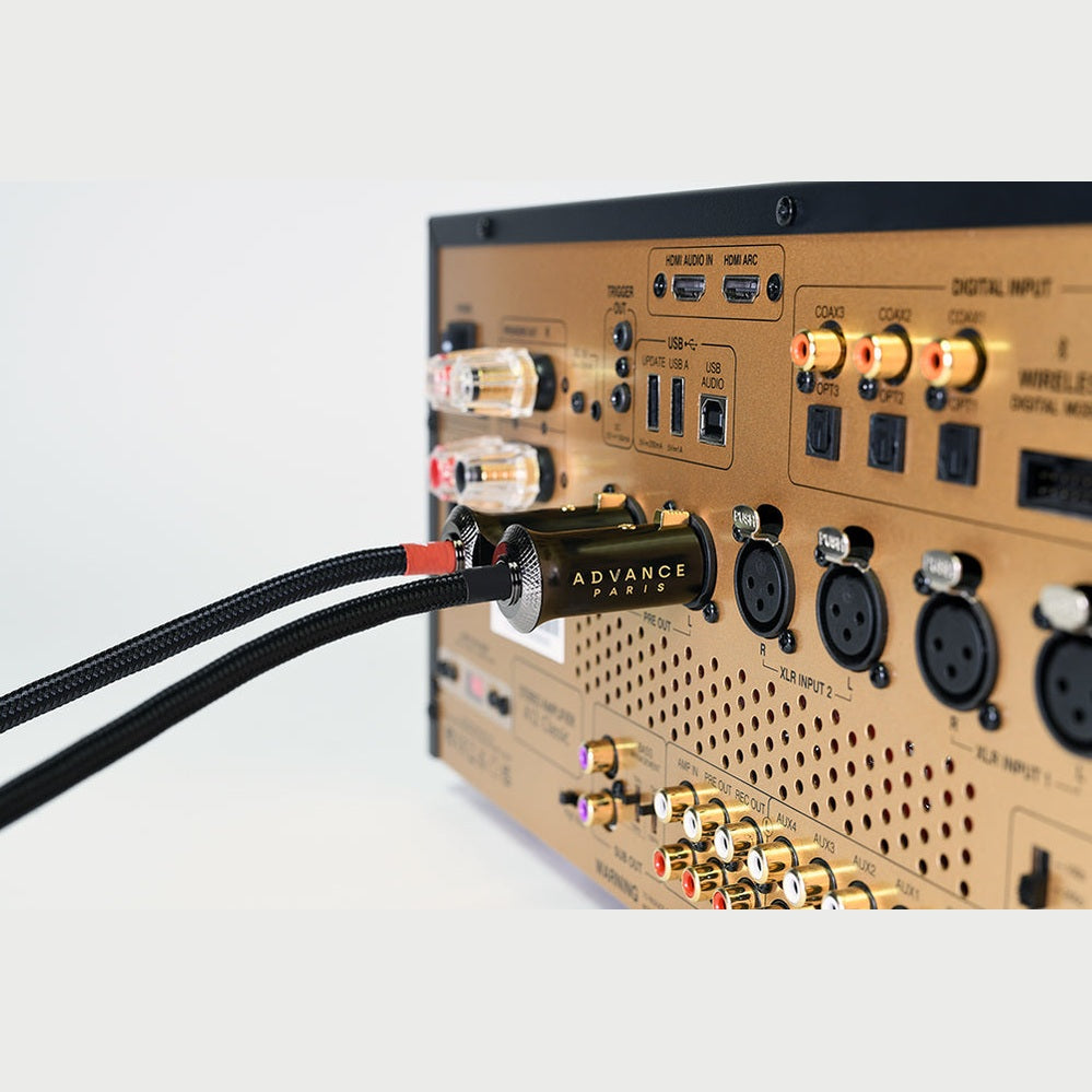 Advance Paris Link XLR Interconnect