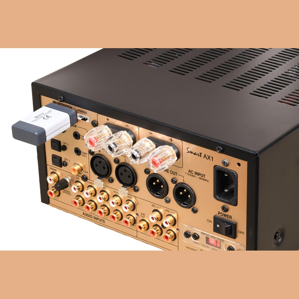 Advance Paris X-FTB01 Bluetooth Receiver