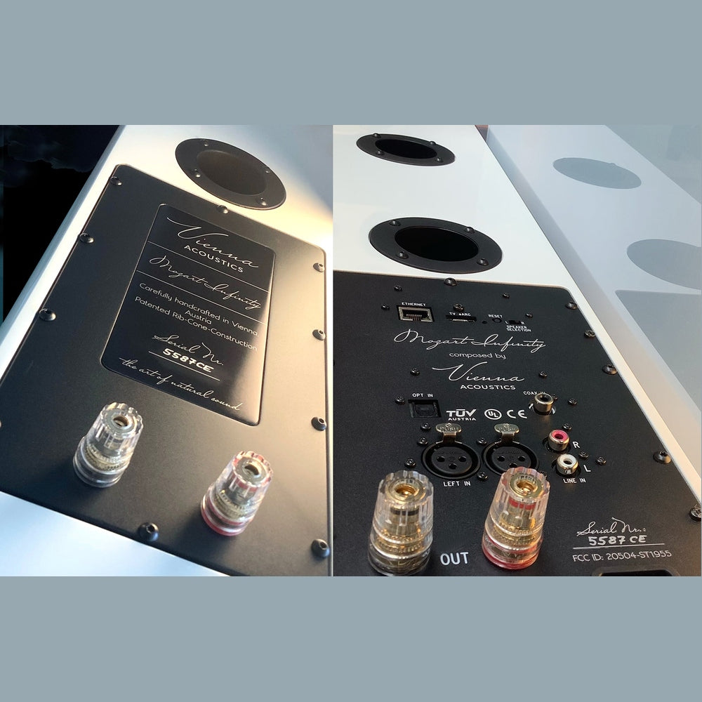 Vienna Acoustics Mozart Infinity - ACTIVE SPEAKER
